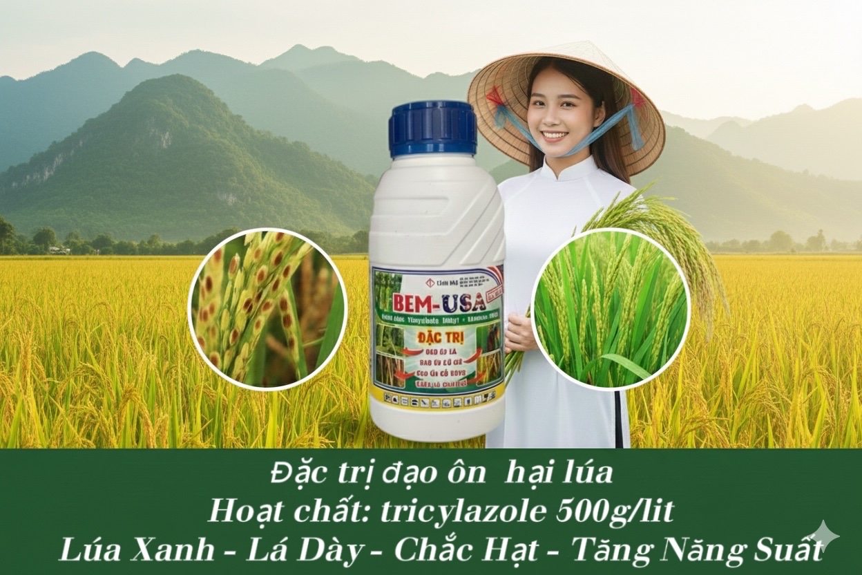 BEM-USA (Bemsuper 500EC) - Đặt Trị Đạo Ôn hại lúa